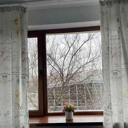 3 - Lizeanu * Bucharest